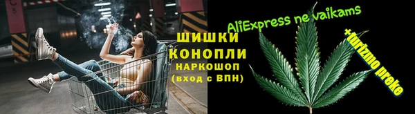трава Бородино